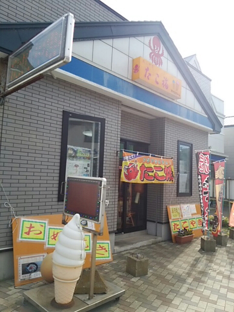 たこ福的实拍高清图