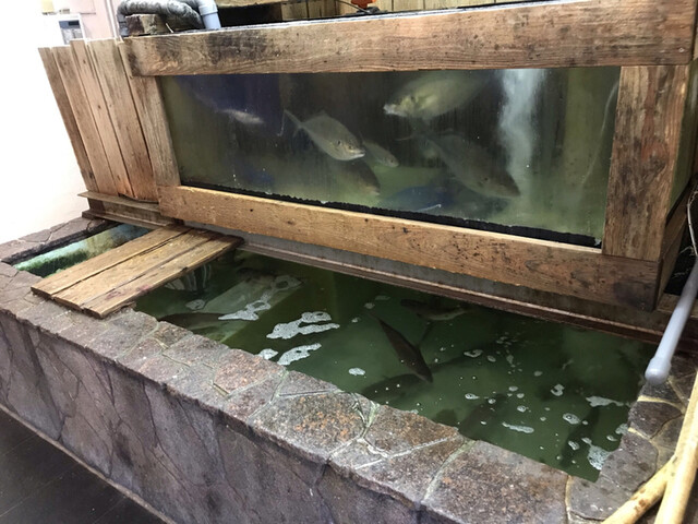 磯の屋的實拍高清圖