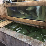 磯の屋的實拍圖