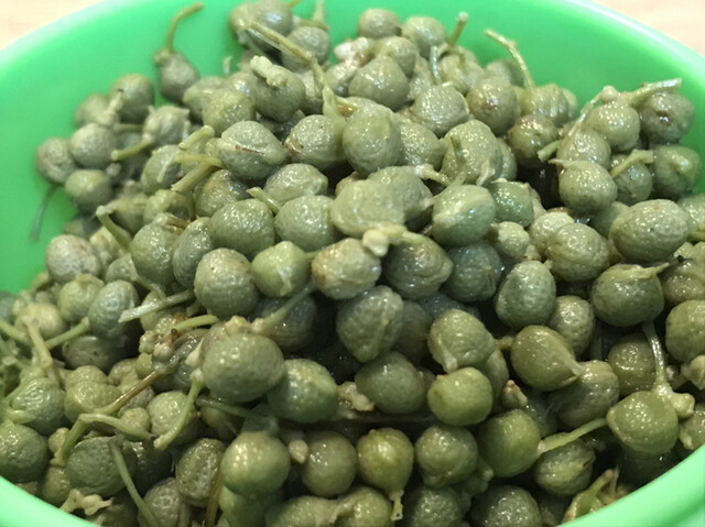 京こんぶ千波的實拍高清圖