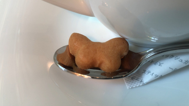 きねずみ的實拍高清圖