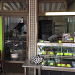 阿部豆腐店的實拍圖