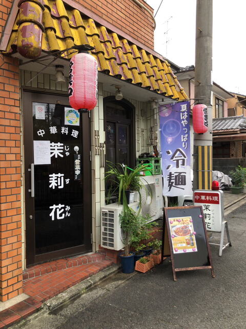 茉莉花的实拍高清图