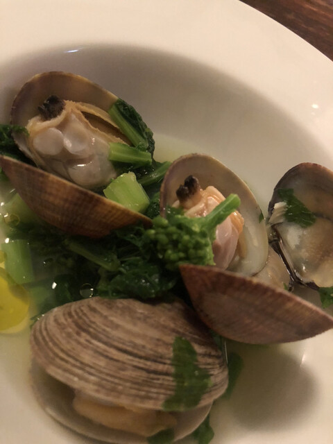 sacae的实拍高清图