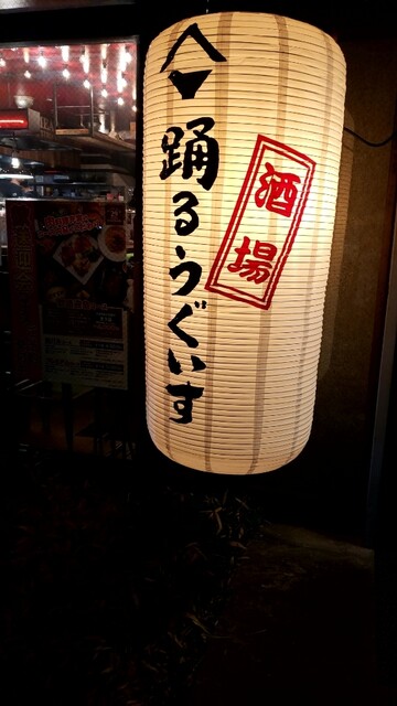 酒場 踊るうぐいす的實拍高清圖