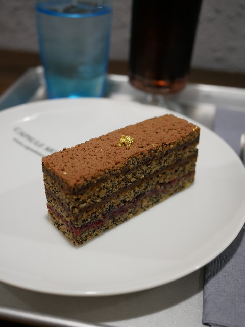 カプセルモンスター的实拍高清图