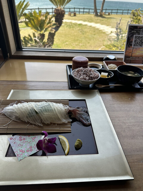 波平的實拍高清圖