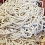 松よし的實拍圖