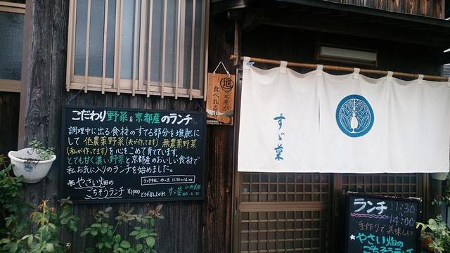 すず菜的实拍高清图