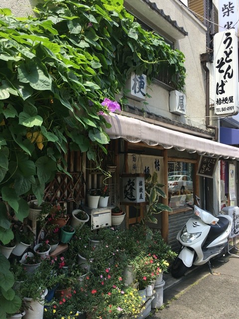 桔梗屋的实拍高清图