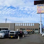 どんぐり的实拍图