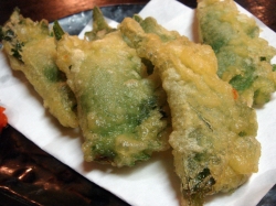 じゃじゃ馬的实拍高清图