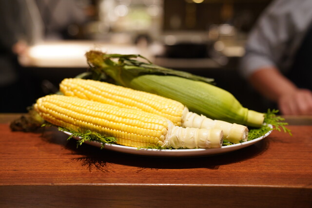 recommendations image for スガラボヴィー