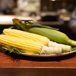 recommendations for スガラボヴィー