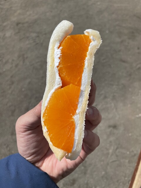 recommendations image for イマノフルーツファクトリー 東駒形店