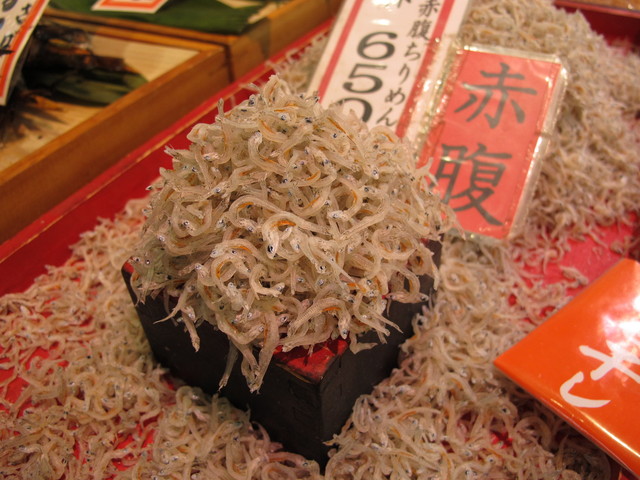 津乃弥的實拍高清圖