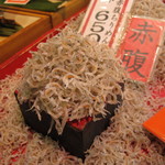 津乃弥的實拍圖