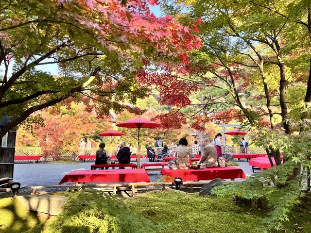 recommendations image for みかえり茶屋