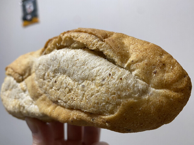 recommendations image for スギノキ