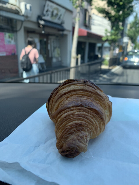 松的实拍高清图