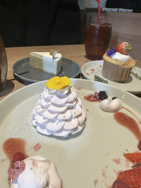 KAKA cheesecake store SAKURAZAKA的實拍高清圖