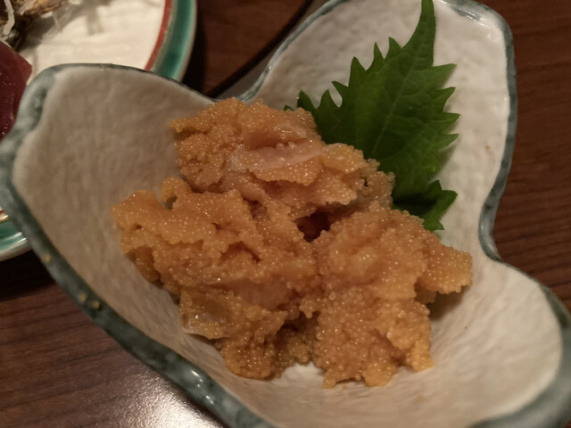 力丸的实拍高清图