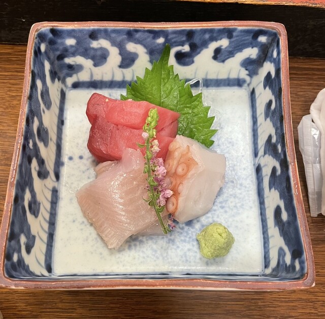 魚政的實拍高清圖