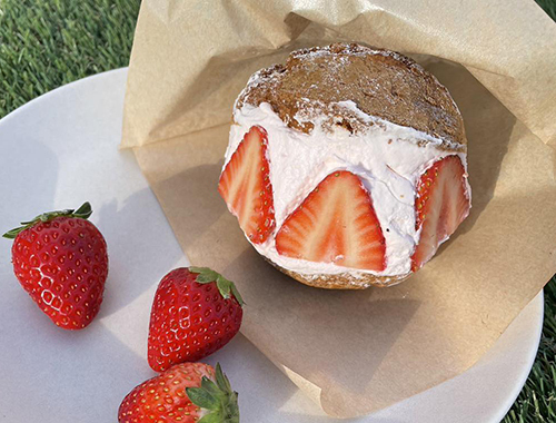 recommendations image for ICHIBIKO 北海道ボールパークFビレッジ店