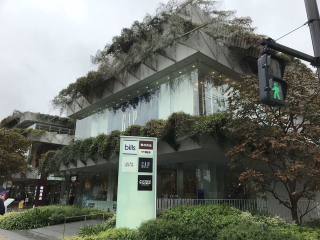 無印良品 二子玉川店的實拍高清圖