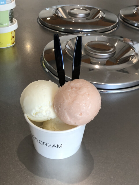 recommendations image for HiO ICE CREAM Atelier 自由が丘