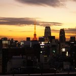 比内地鶏maekawa的实拍图