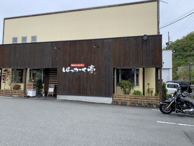 はっかく亭的实拍高清图