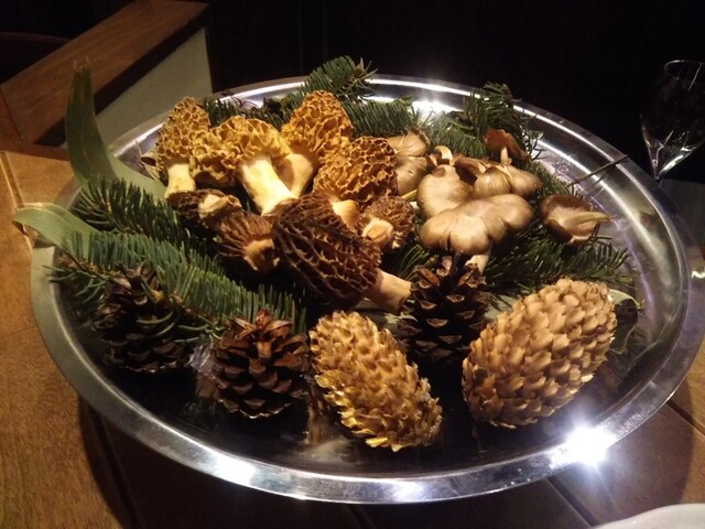 フンギ堂的实拍高清图