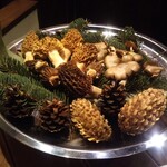 フンギ堂的实拍图