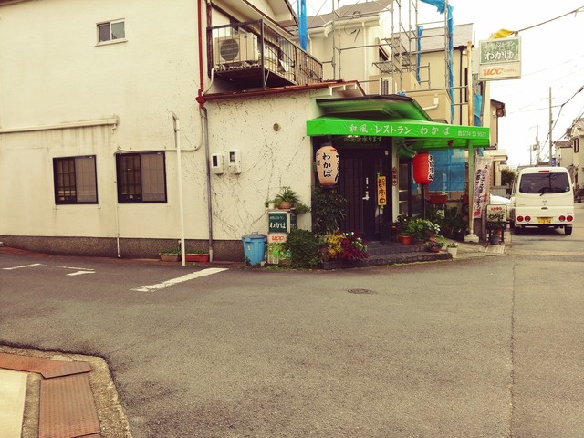 わかば的实拍高清图