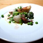 recommendations for フナシェフ