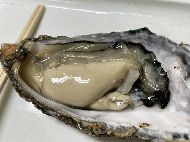 池田商店的實拍高清圖