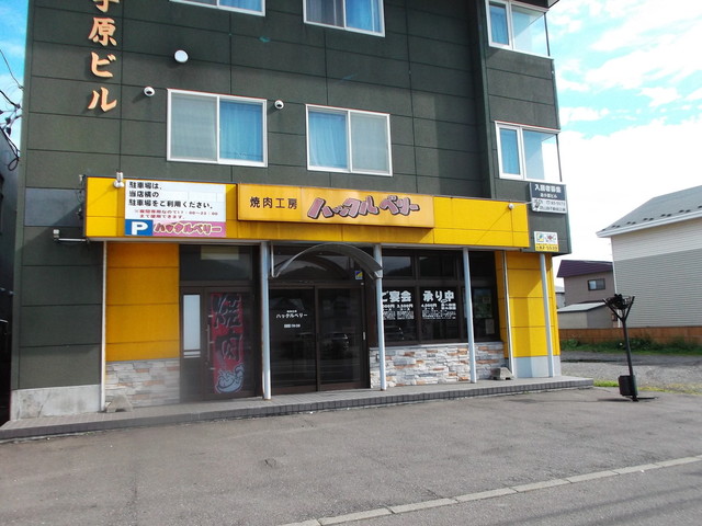 ハックルベリー的实拍高清图