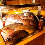 recommendations for なきざかな 新宿店はなれ