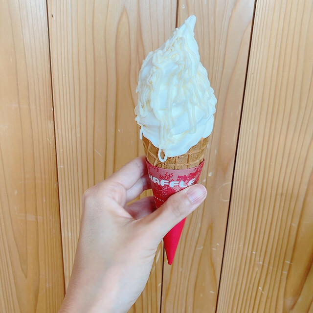 キッチンキーコ的實拍高清圖