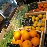 recommendations for サラダーマン