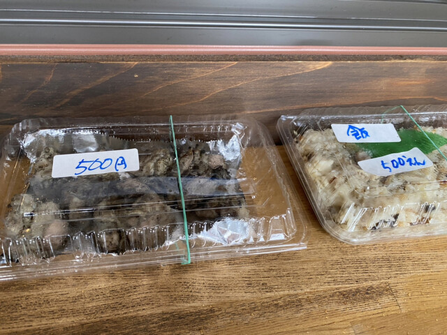好事家的實拍高清圖