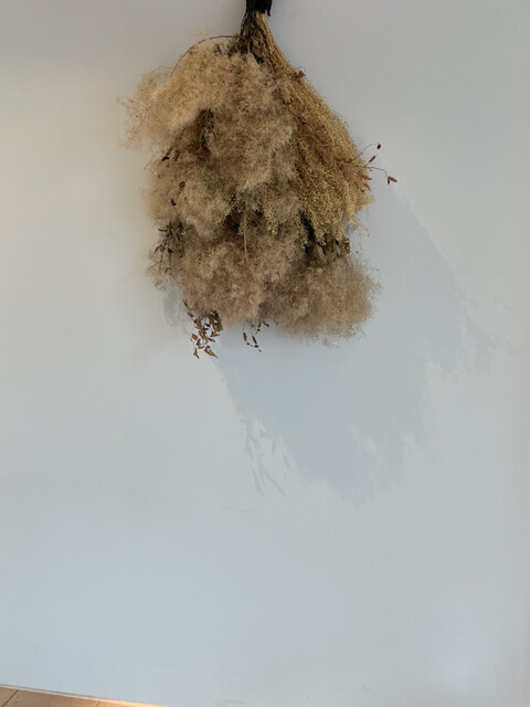 recommendations image for mumokuteki