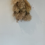 recommendations for mumokuteki