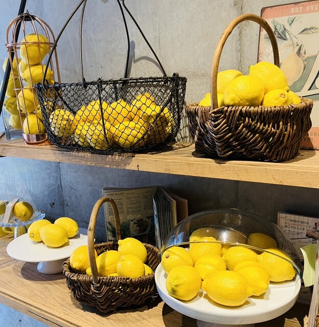 CITRON的实拍高清图