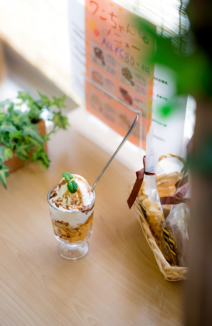 recommendations image for 保護犬＆保護猫カフェ 寺田町店