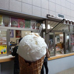 道の駅　田園の里うりゅう　あいす館的实拍图