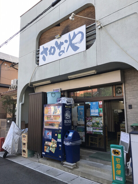 さかなや的实拍高清图