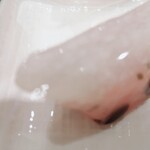 宗家 源吉兆庵 近鉄百貨店 阿倍野店的實拍圖