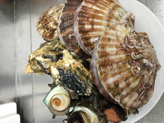 旬菜 松峰的實拍高清圖